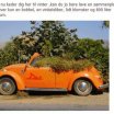 roadster med blomster.jpg